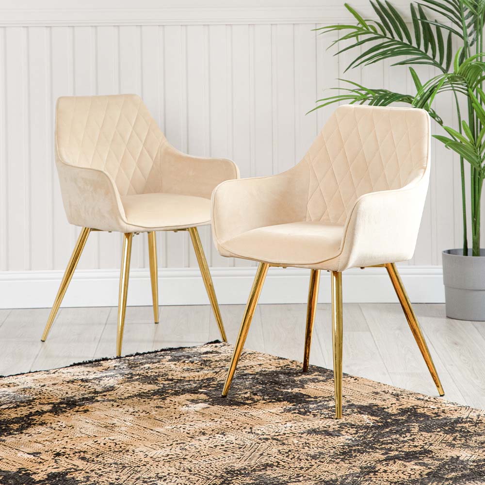 Dining Chairs for Every Budget: Finding the Right Fit for You