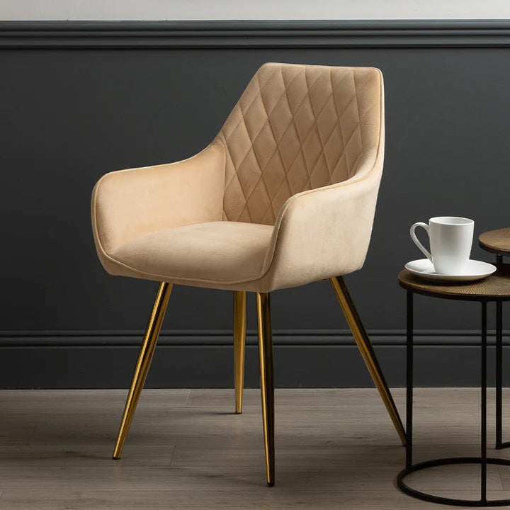 Modern cream dining chairs discount